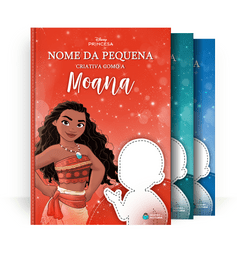 Capa dos livros da coleção Princesas Guerreiras
